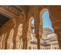 500 pcs Puzzle for Adults Jigsaw Puzzles Hard Challenging Difficult Family Cool Large Alhambra Columns Around The Court Lions Puzzles for Adults