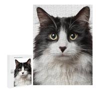500 PCS Puzzles for Teenagers Black & White Fluffy Cat Jigsaw Puzzles for Teenagers Staycation Kill Time Help The Brain Exercise Family Fun & Game Night 500 PCS