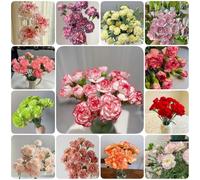 500 PCS Vibrant Mixed-Colour-Carnation | Perennial Hardy Indoor Outdoor Garden Ornamental Flower