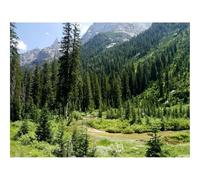 500 Pcs Wooden Puzzles for Home Decoration-Cascade,canyon,grand 52x38cm