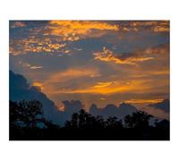 500 Pcs Wooden Puzzles for Home Decoration-Clouds,trees,silhouettes 52x38cm