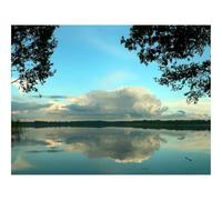 500 Pcs Wooden Puzzles for Home Decoration-Clouds,volume,trees 52x38cm