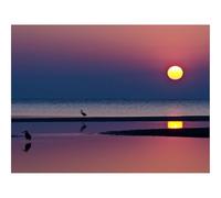 500 Pcs Wooden Puzzles for Home Decoration-Decline,herons,sun 52x38cm