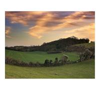 500 Pcs Wooden Puzzles for Home Decoration-Fields,trees,strip 52x38cm