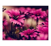 500 Pcs Wooden Puzzles for Home Decoration-Flowers,petals,pink 52x38cm