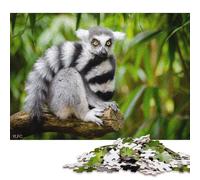 500 Piece 'Animals Zoo Cute Lemur Jigsaw Puzzlesfor Adults Teenagers Puzzles Jigsaw Puzzles for Adult 500pcs (52x38cm)