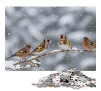500 Piece Birds on A Snowy Branch Creative Square Jigsaw Puzzles for Adults And Wooden Puzzles Toy Intellectual Game 500pcs (52x38cm)