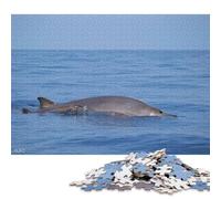 500 Piece Blainvilles Beaked Whale Square Puzzles for Adults, Wooden Puzzles Family Entertainment Toys 500pcs (52x38cm)