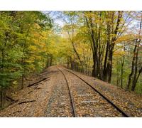 500 Piece Challenge Jigsaw Puzzle for Adults And Kids Age 14 Years Up - Railroad rails trees 52x38cm