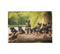 500 Piece German Shepherd Puppies Lakeside Jigsaw Puzzle, Educational Fun Puzzle for All Ages