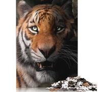 500 Piece Hiding Tiger Jigsaw Puzzle for Adult Teenagers Puzzle Jigsaws for Adults Puzzles for Adults 500pcs (52x38cm)