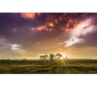 500 piece jigsaw,natural scenery,sunrise,Finland,clouds 52x38CM