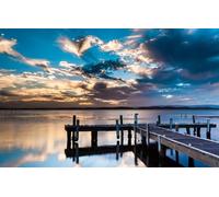 500 Piece Jigsaw Puzzle Adults -Puzzles 500 Pieces Puzzles- Relax Puzzles Games-Brain Teaser Puzzle, Birds, Pier, Pelecans 52x38CM