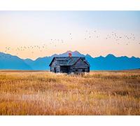 500 Piece Jigsaw Puzzle Educational Puzzle Family Game for Adults And Kids - House field mountains 52x38cm