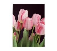 500 Piece Jigsaw Puzzle for Adults Challenging Puzzle for Game Nights Pink Tulips Wooden Puzzle Personalized Custom Wood Puzzle for Family Picture Puzzles Finished Size 15"x20.4"