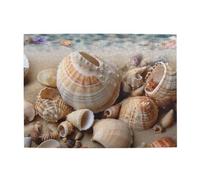 500 Piece Jigsaw Puzzle for Adults Challenging Puzzles for Game Nights Seashells by The Seashore Wooden Puzzle Personalized Custom Wood Puzzles for Family Picturepuzzle Finished Size 20.4"x15"