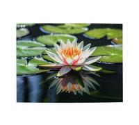 500 Piece Jigsaw Puzzle for Adults Challenging Puzzles for Game Nights Water Lily Wooden Puzzle Personalized Custom Wood Puzzles for Family Picturepuzzle Finished Size 20.4"x15"