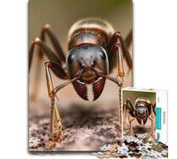 500 Piece Jigsaw Puzzle for Adults, Extreme Close-up of an Ant's Head