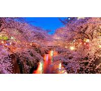 500 Piece Jigsaw Puzzle For Adults Husky Dog Be Strong When You Are Weak Be Brave When You Are Scared Puzzles For Youth Ren Large Educational Game Best Gift Home Decor