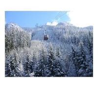 500 Piece Jigsaw Puzzle for Adults & Kids-Aerial,lift,cabins,trees 52x38cm