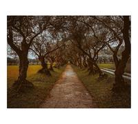 500 Piece Jigsaw Puzzle for Adults & Kids-Alley,path,trees 52x38cm