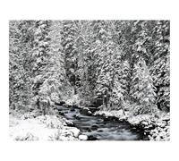 500 Piece Jigsaw Puzzle for Adults & Kids-Banff,national,park,alberta,canada 52x38cm
