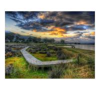 500 Piece Jigsaw Puzzle for Adults & Kids-Bridge,coast,cold 52x38cm