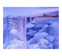 500 Piece Jigsaw Puzzle for Adults & Kids-Chicago,night,city 52x38cm