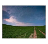 500 Piece Jigsaw Puzzle for Adults & Kids-Field,road,country 52x38cm