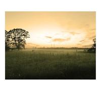 500 Piece Jigsaw Puzzle for Adults & Kids-Field,trees,evening 52x38cm