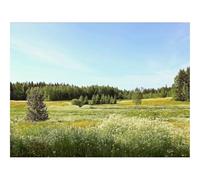 500 Piece Jigsaw Puzzle for Adults & Kids-Flowers,field,summer 52x38cm