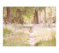 500 Piece Jigsaw Puzzle for Adults & Kids-Footpath,flowers,trees 52x38cm