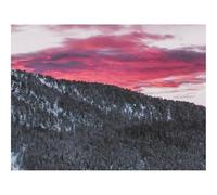 500 Piece Jigsaw Puzzle for Adults & Kids-forests,coniferous,snowy 52x38cm