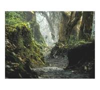 500 Piece Jigsaw Puzzle for Adults & Kids-forests,path,ditch 52x38cm