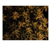 500 Piece Jigsaw Puzzle for Adults & Kids-Palms,Trees,Aerial View,Tropics 52x38cm