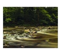 500 Piece Jigsaw Puzzle for Adults & Kids-River,Stones,Long Exposure,Trees 52x38cm