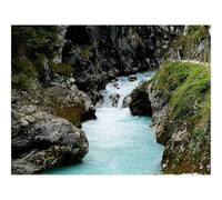 500 Piece Jigsaw Puzzle for Adults & Kids-River,Stones,Rocks,Moss,Nature 52x38cm