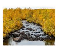 500 Piece Jigsaw Puzzle for Adults & Kids-River,Stones,Trees,Autumn,Landscape,Nature 52x38cm
