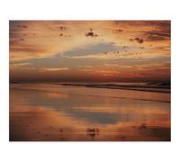 500 Piece Jigsaw Puzzle for Adults & Kids-Sunset,Shore,Water,Reflection,Landscape 52x38cm