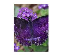 500 Piece Jigsaw Puzzle for Adults,Lovely Purple Butterfly, Puzzles with Letters on Back, Challenging Puzzle for Game Night Home Décor, 15 x 20.4