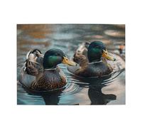 500 Piece Jigsaw Puzzle for Adults,Mallard Ducks, Puzzles with Letters on Back, Challenging Puzzle for Game Night Home Décor, 15 x 20.4