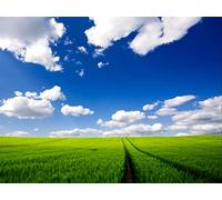 500 Piece Jigsaw Puzzle for Adults-Relax Puzzles Games - Road greens grass 52x38cm