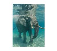 500 Piece Jigsaw Puzzle for Adults,Swimming African Elephant, Puzzles with Letters on Back, Challenging Puzzle for Game Night Home Décor, 15 x 20.4