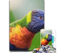 500 Piece Jigsaw Puzzle for Adults, Vibrant Rainbow Lorikeet Portrait