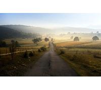 500 Piece Jigsaw Puzzle for Kids BoysNatural Beauty,Fields,Morning,Fog,Bosnia and Herzegovina,Road 52x38CM