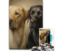 500 Piece Jigsaw Puzzle, Labrador Retrievers︰ Black and Yellow Portrai