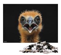 500 Piece Jigsaw Puzzles Baby Bird Close Up Wooden Puzzles Educational Toys 500pcs (52x38cm)