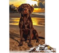 500 Piece Jigsaw Puzzles Chocolate Labrador at Sunset Creative Square Wooden Jigsaw Puzzles for Adults 500pcs (52x38cm)