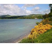 500 Piece Jigsaw Puzzles for Adults And Kids Age 14 Years Up - River shore sky 52x38cm