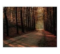500 Piece Jigsaw Puzzles for Adults Gifts-Alley,path,trees 52x38cm